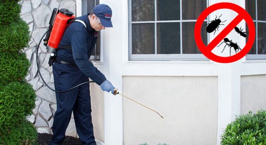 Varto Hamam Böceği İlaçlama böcek ilaçlama ve haşere kontrolü — ilaclama-tr.com